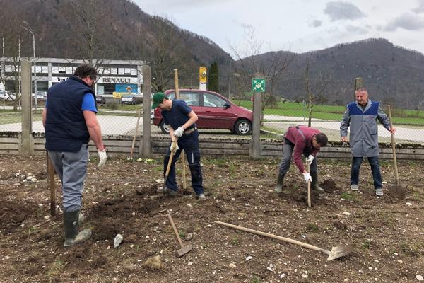In Jesenice und Tolmin wurden die ersten Obstbäume gepflanzt